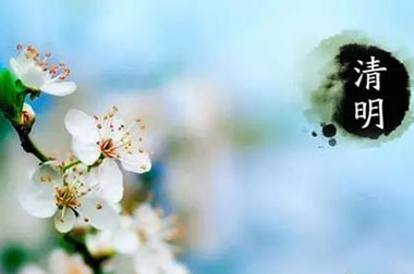 248cc��������(�й�)���޹�˾�����ڷż�֪ͨ