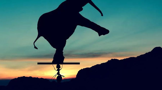 248cc�������Ź���